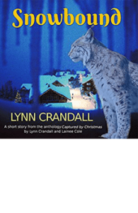 Suspense, Paranormal, Romance Books by Lynn Crandall