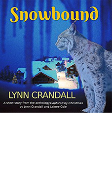 Suspense, Paranormal, Romance Books by Lynn Crandall