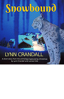 Suspense, Paranormal, Romance Books by Lynn Crandall