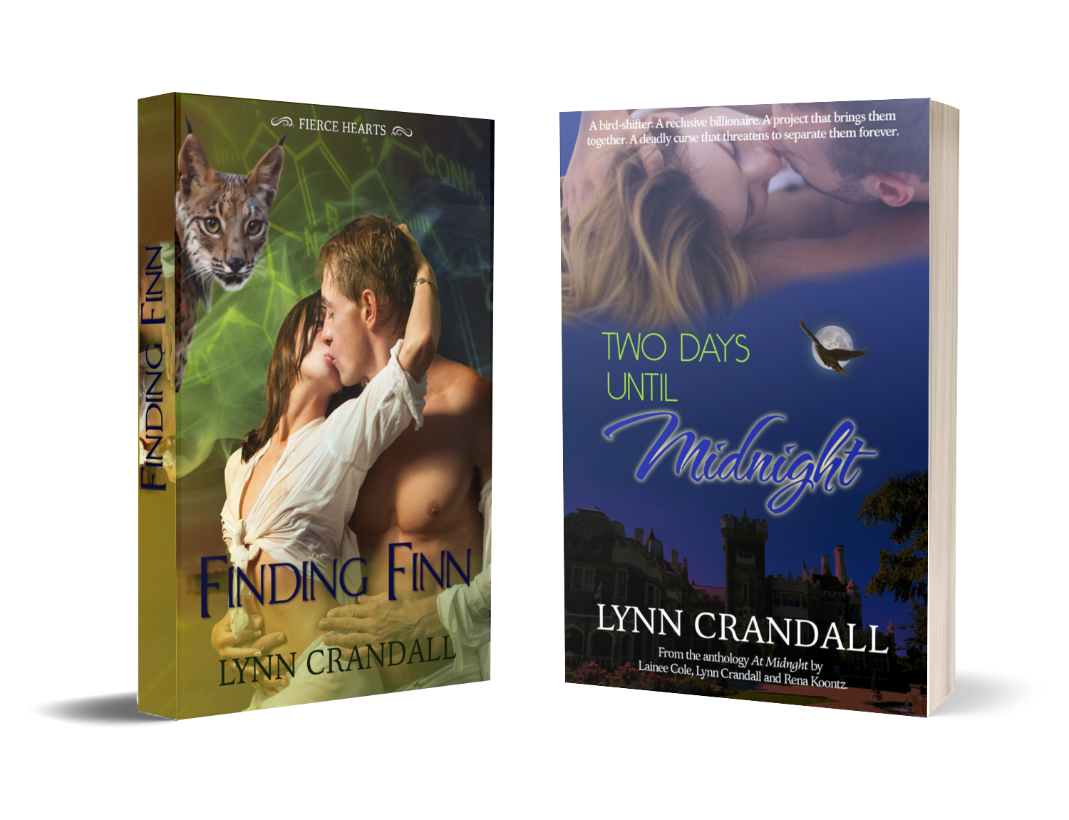 Suspense, Paranormal, Romance Books by Lynn Crandall